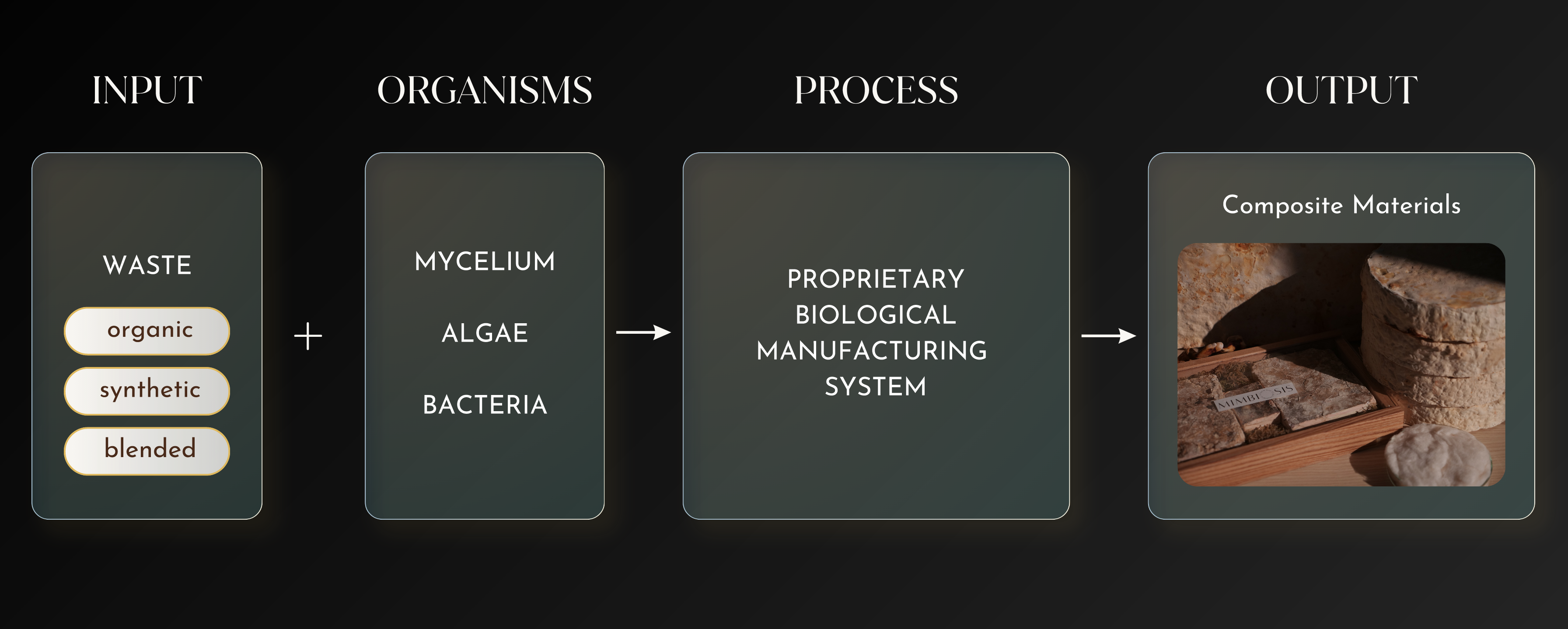 Mycelium production process diagram